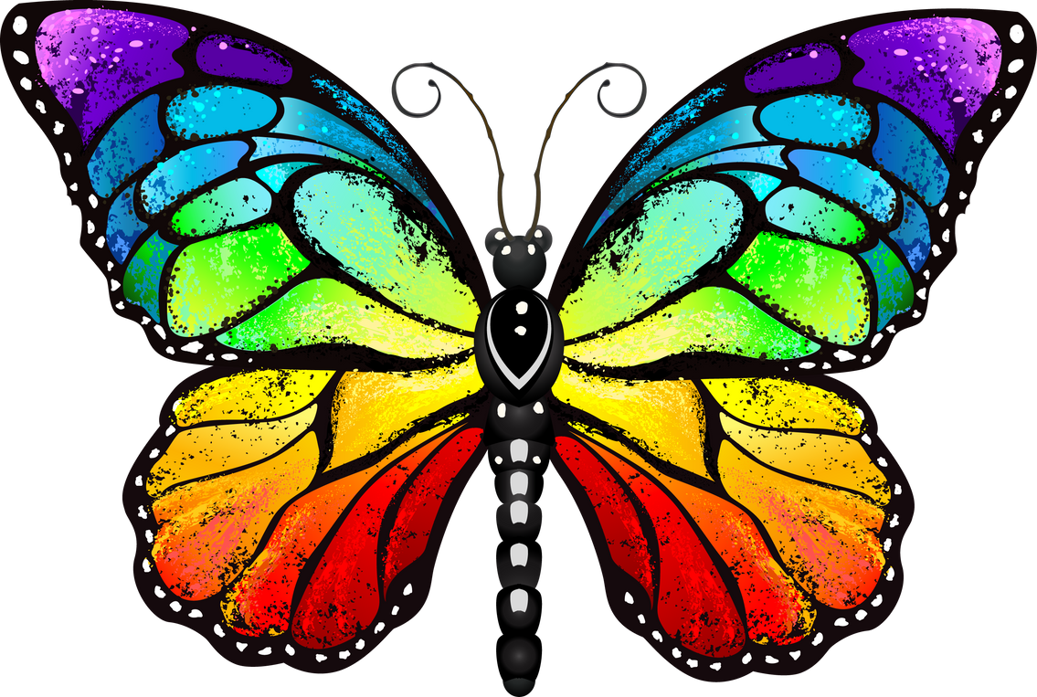 Rainbow Monarch Butterfly